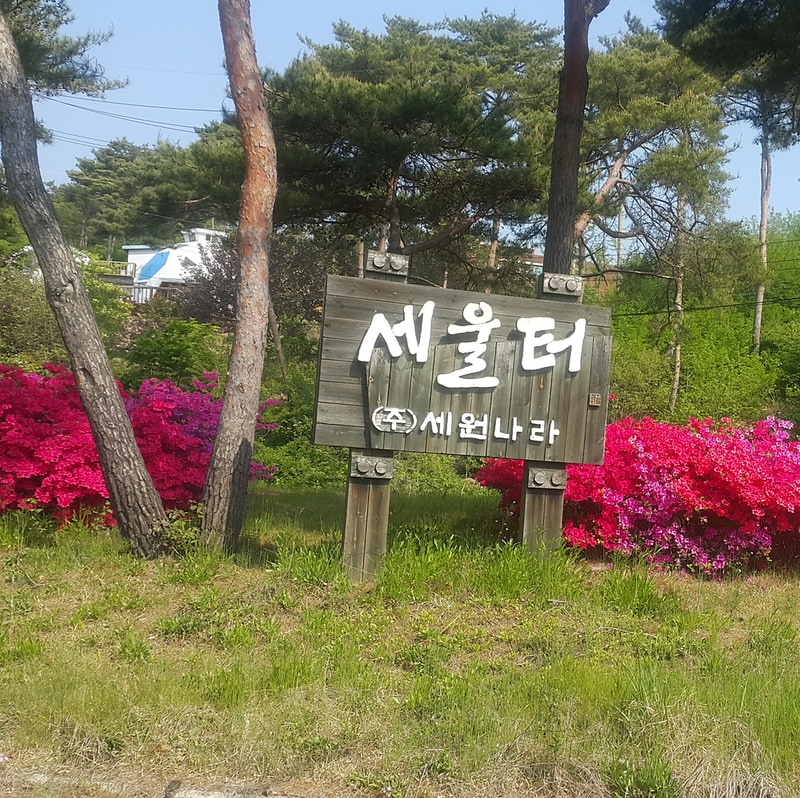 세울터 오토캠핑장 & 펜션 시설 사진 2