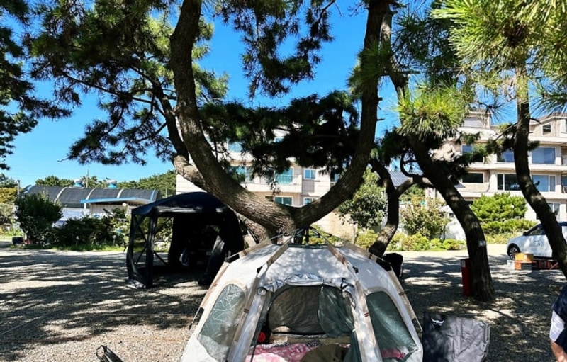 [안산 캠핑장] 비치 캠핑장 / 오션뷰 캠핑장