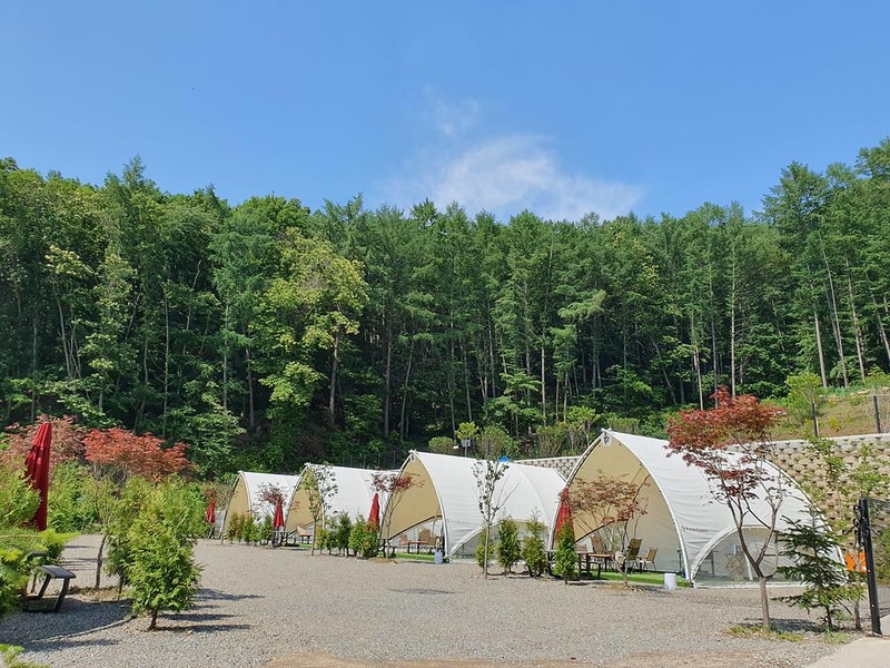 코코숲 바베큐&글램핑 시설 사진 17