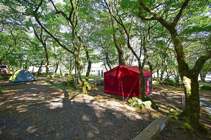 한라산국립공원 관음사지구 야영장 대표 사진