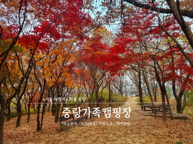 [서울중랑]중랑가족캠핑장 중랑캠핑숲 A2-1 오토캠핑장 뚜벅이...