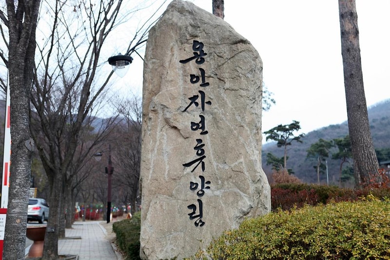 용인자연휴양림 시설 사진 18