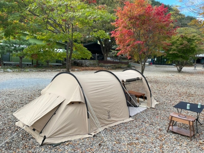 단풍캠핑장 추천 영월 예그리나숲 전 사이트 소개 명당 추천