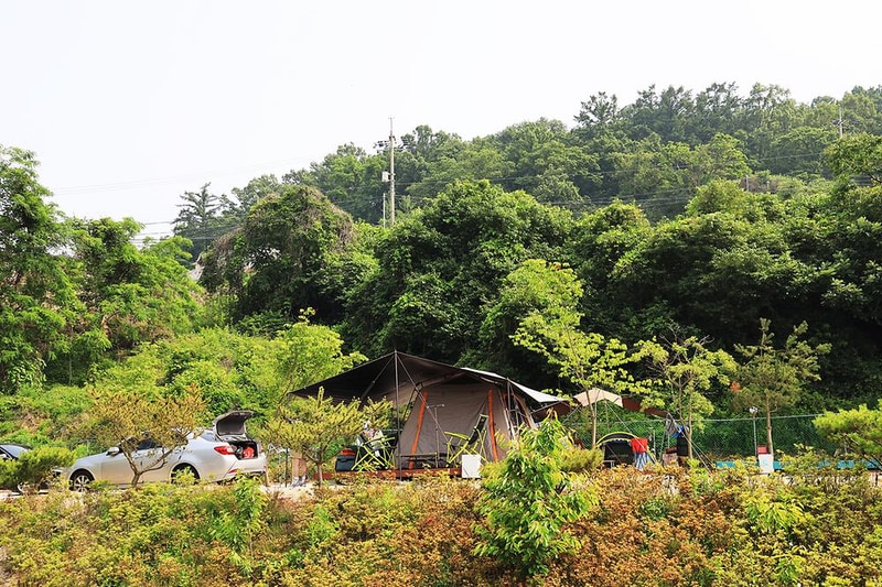 강화바다관광농원 시설 사진 9