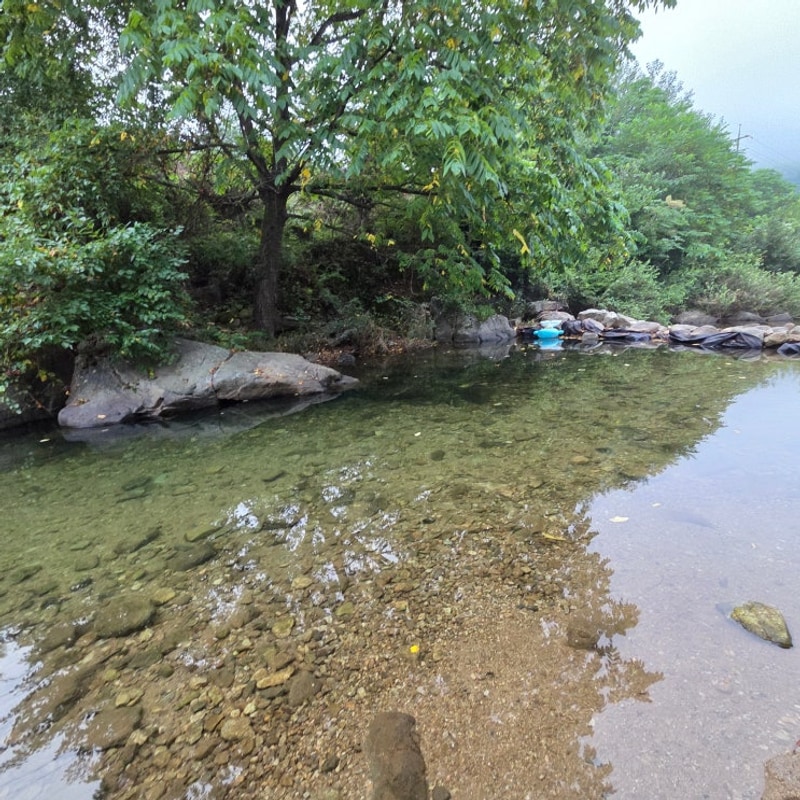 좋고 넓은 타프사이트가 있는 영월 무릉도원캠핑장 명당 추천