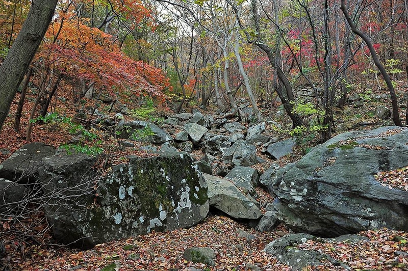 팔영산 자연휴양림 야영장 시설 사진 13