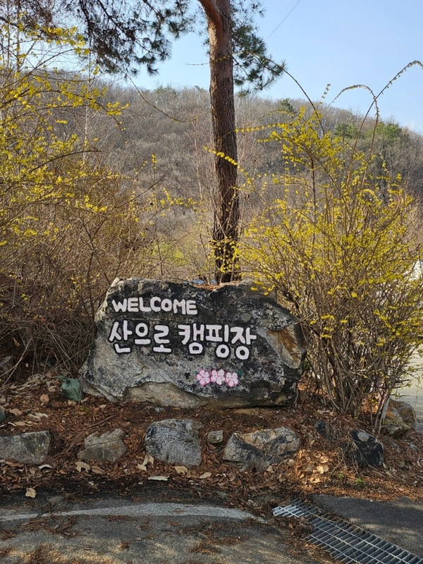 벚꽃 솔캠 도전 그 결과는?! 강원도 홍천 산으로 캠핑장