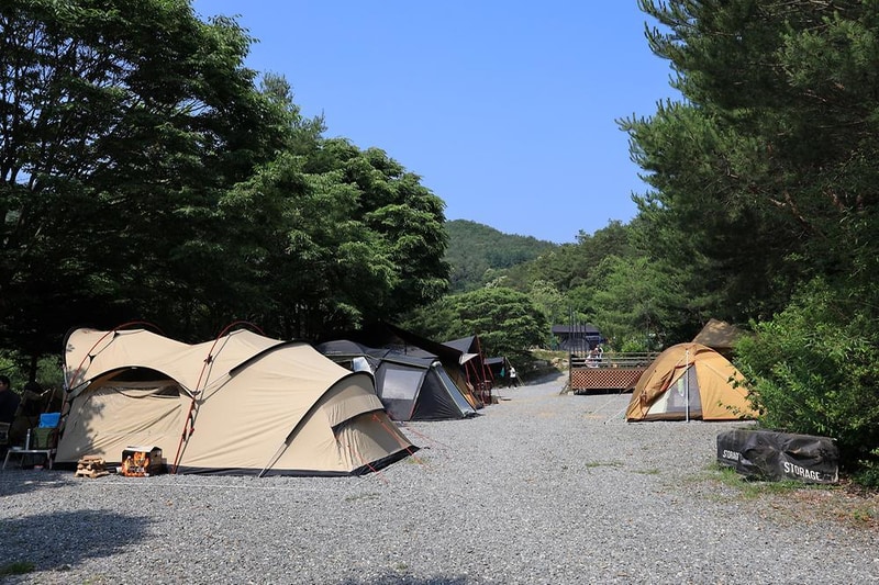 월드니스 시설 사진 7