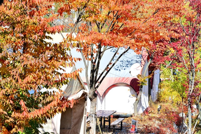 힐링가평오토캠핑장 시설 사진 4