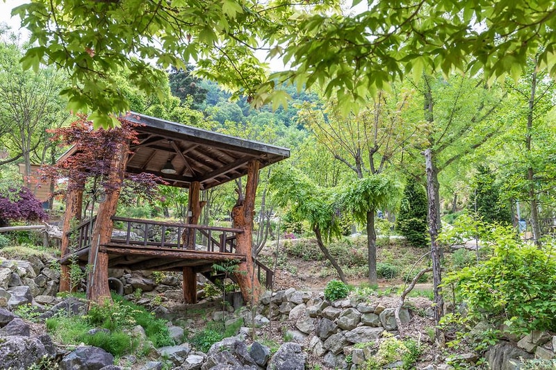 마로니에숲 캠핑장 시설 사진 8