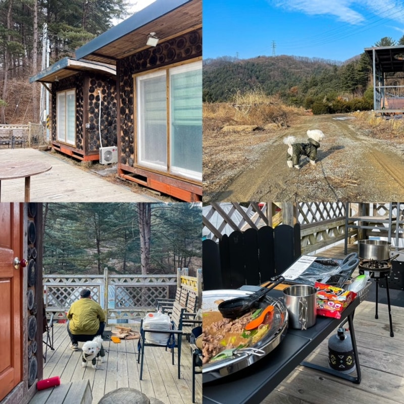 포천 애견동반 캠핑 엉클킴스캠핑장 방갈로 내돈내산 후기