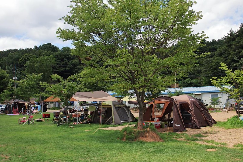 영우네 농어촌 관광농원 시설 사진 4