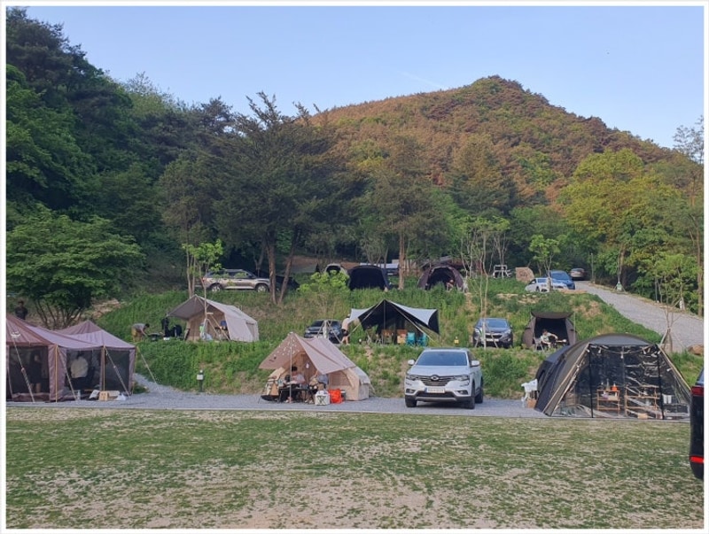 캠핑맛집 단양오지캠핑장 단양캠핑장