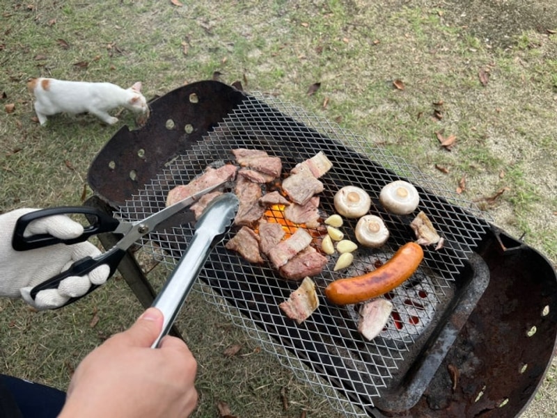 [대구 군위 캠핑장] 청화산카라반&캠핑