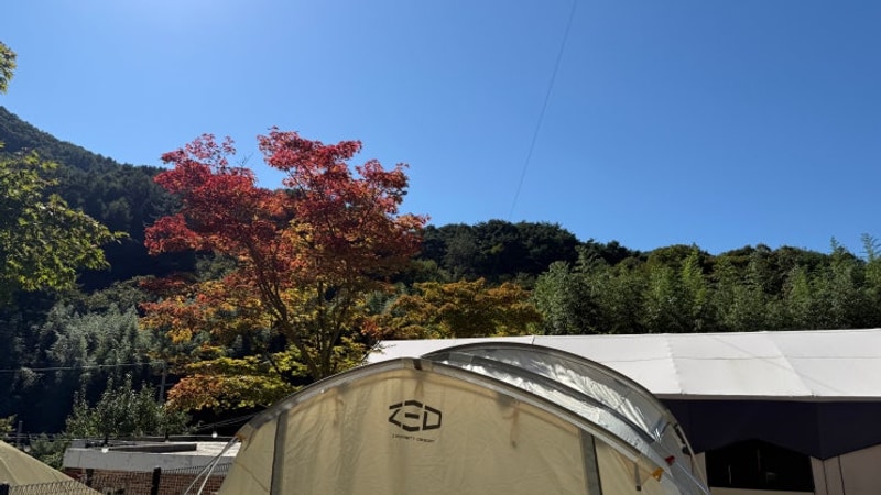 경남하동 계곡낚시 물놀이 별곰캠핑힐 캠핑 & 글램핑 숙박...