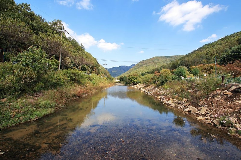 속리산알프스캠핑장&펜션 시설 사진 15