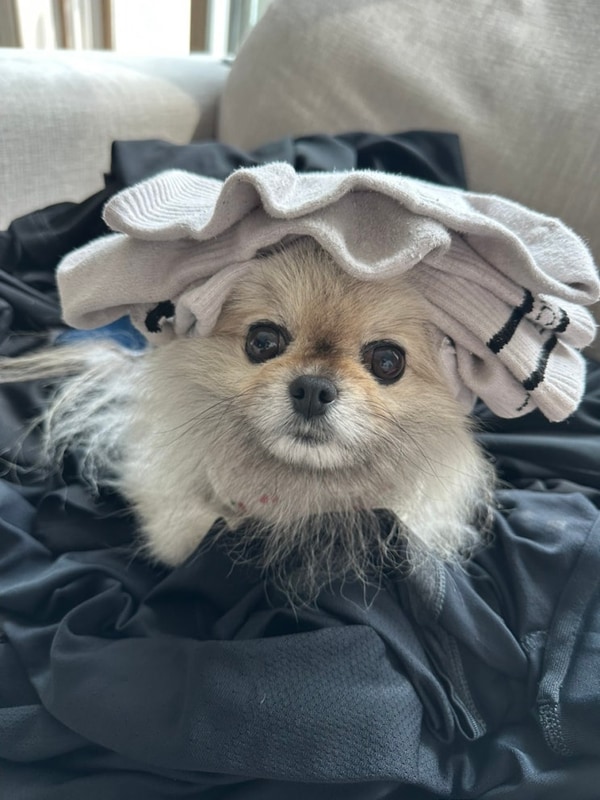 보령 천북에 위치한 바다야 놀자 캠핑장