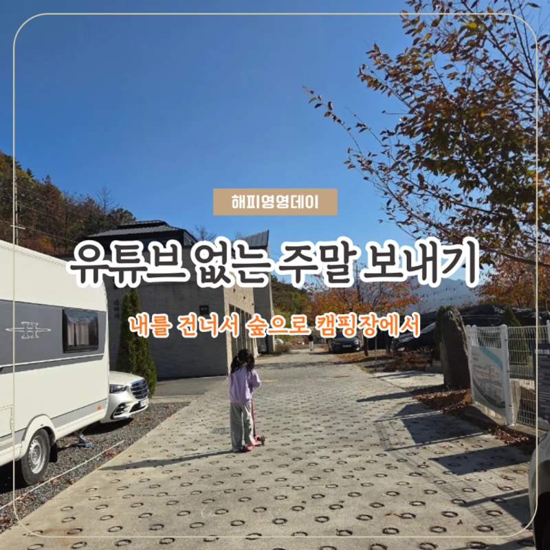 청도 내를 건너서 숲으로 캠핑장에서 아이랑 유튜브없이 놀고...