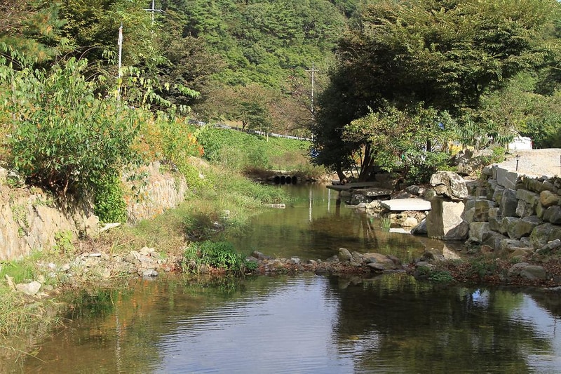 칠갑산도림휴양림캠핑장 시설 사진 24