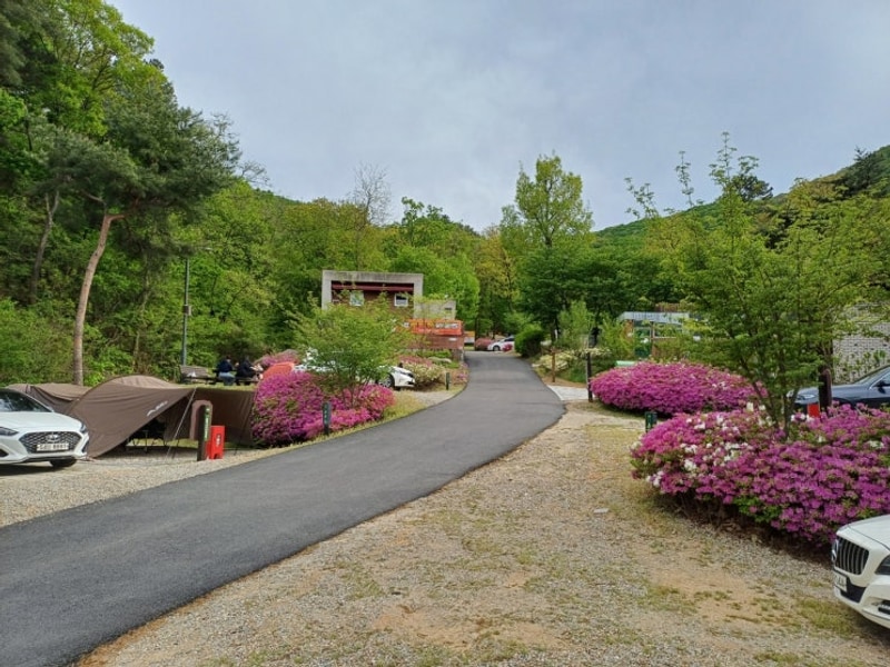 [천안]태학산자연휴양림 오토캠핑장 후기, 또 가고 싶은 곳...