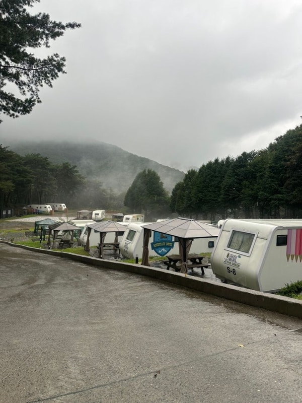 제천카라반 자연 힐링 숲캉스... 안가면 후회 "제천카라반더그린"