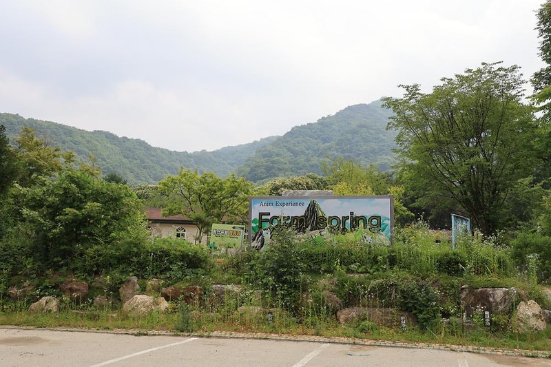 팜스프링 야영장 시설 사진 26