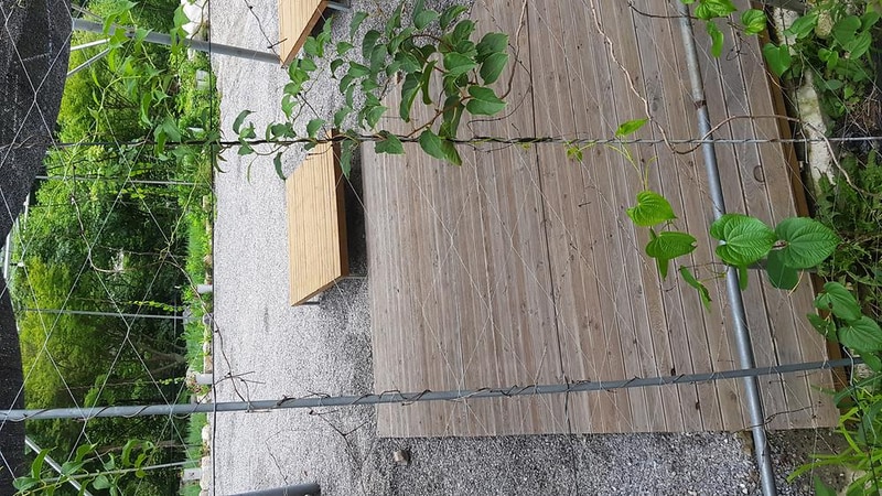 영월아트앤캠프장 시설 사진 18