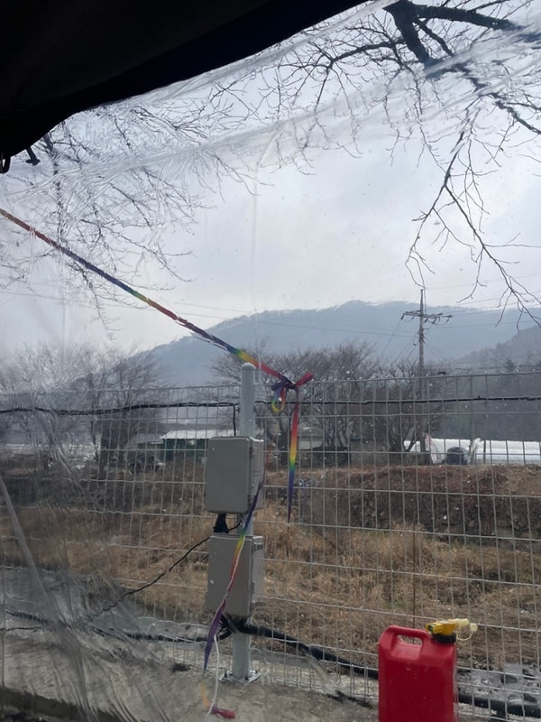 경주오토캠핑장 눈오는 날 애견동반 반딧불이캠핑장