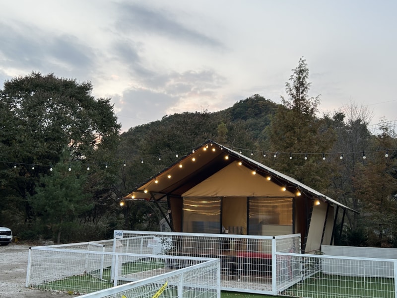 [포천글램핑] 백운계곡캠핑장 프리미엄동 솔직후기+할로윈...