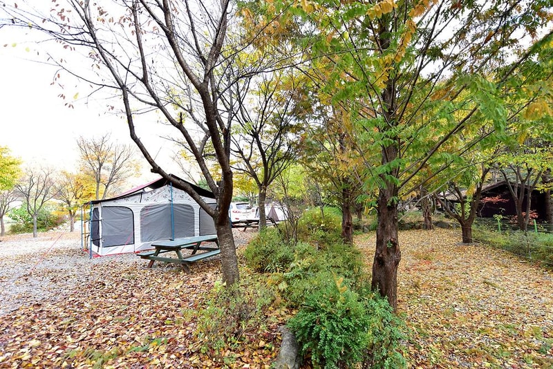들꽃여울캠핑장 시설 사진 3