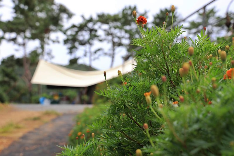 산달바다 캠핑장 시설 사진 13