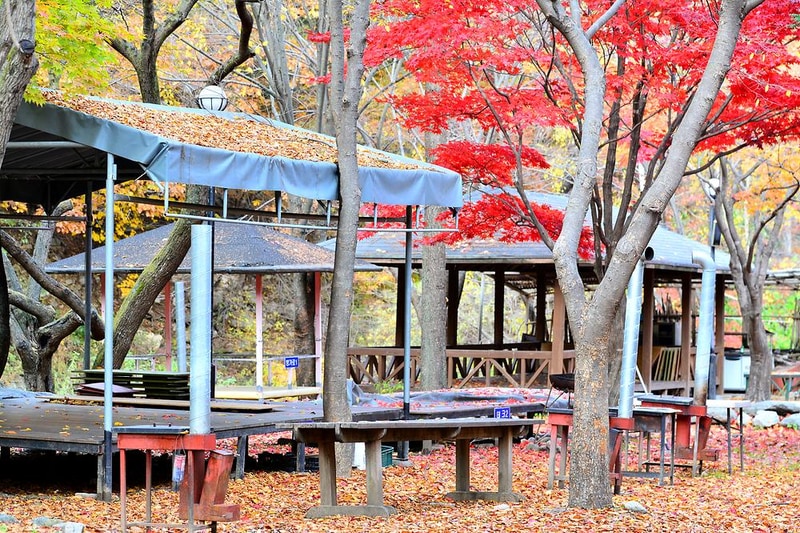 유명산밸리캠핑장 시설 사진 4