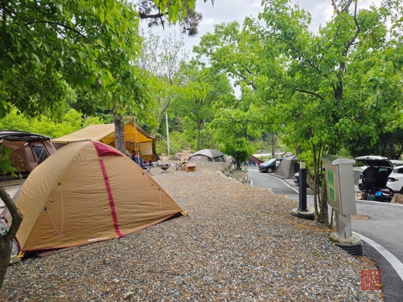 서울근교캠핑장 양평 휴먼캠핑장 B사이트