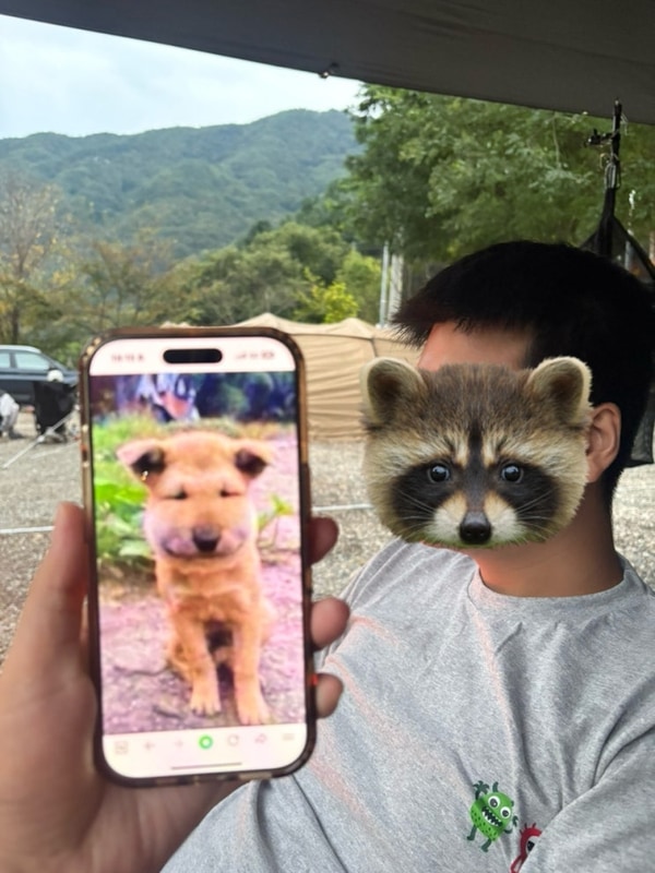 [캠핑일기] 큰 실 베짱이와 함께 한 가평 소프 캠핑장 (틱- 틱-)