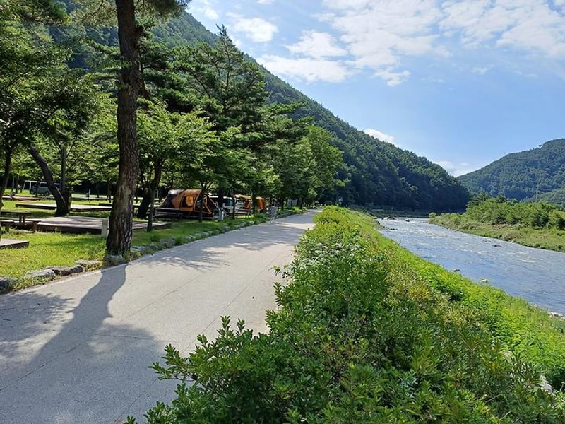 졸드루오토캠핑장 대표 사진