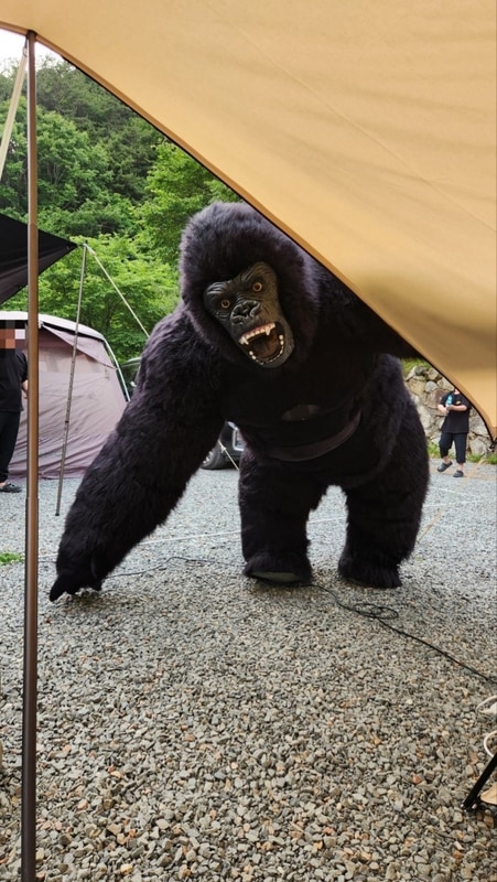 [경북 고령] 숲에안기다 캠핑장 C3사이트 후기