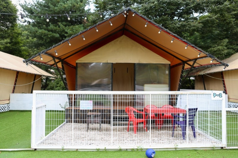 포천글램핑 백운계곡 캠핑장! 혼자 불멍하며 힐링하는 시간!