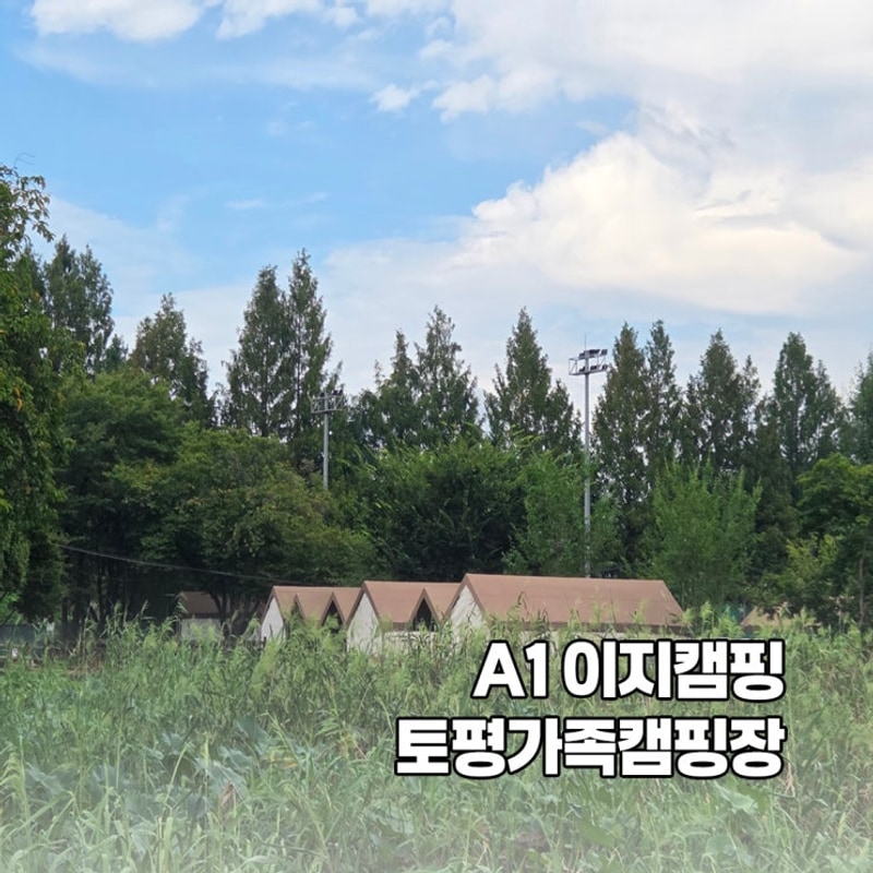 구리 토평 가족캠핑장 A2 이지캠핑 가을 단풍 시즌 마지막 후기