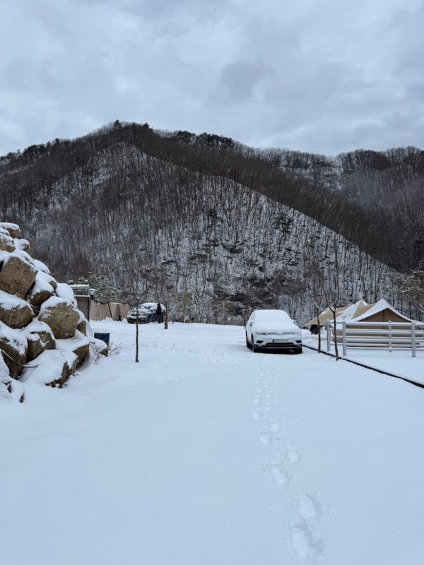신생 캠핑장 :: 서울 가까운 홍천 오도치캠핑장 2박 B9 사이트...