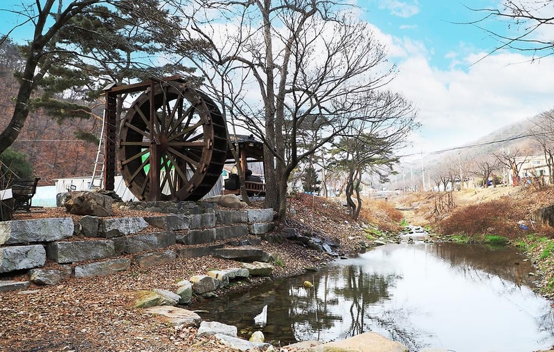 진밭골향기관광농원 야영장 시설 사진 20