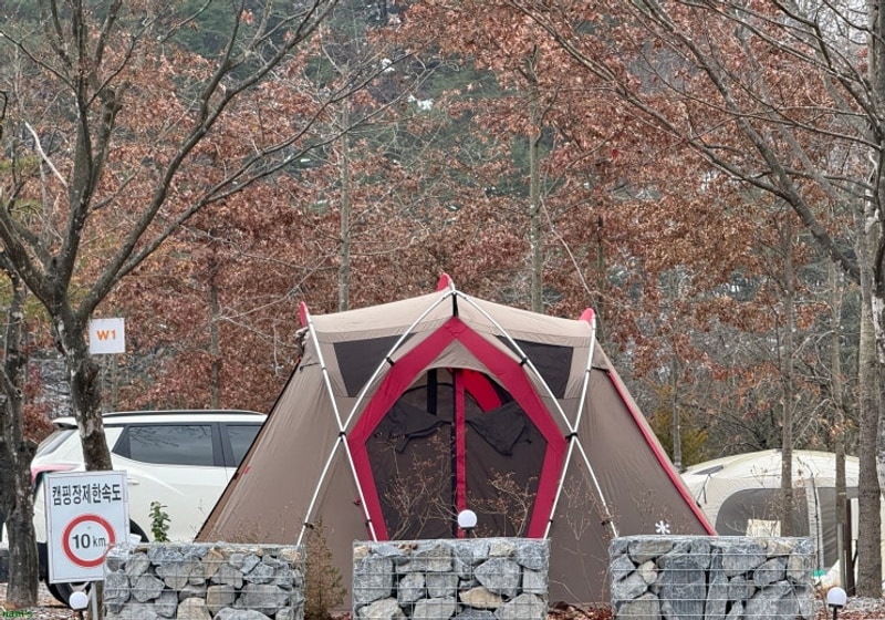 위드힐링 캠핑장 [강원도 영월 캠핑장]