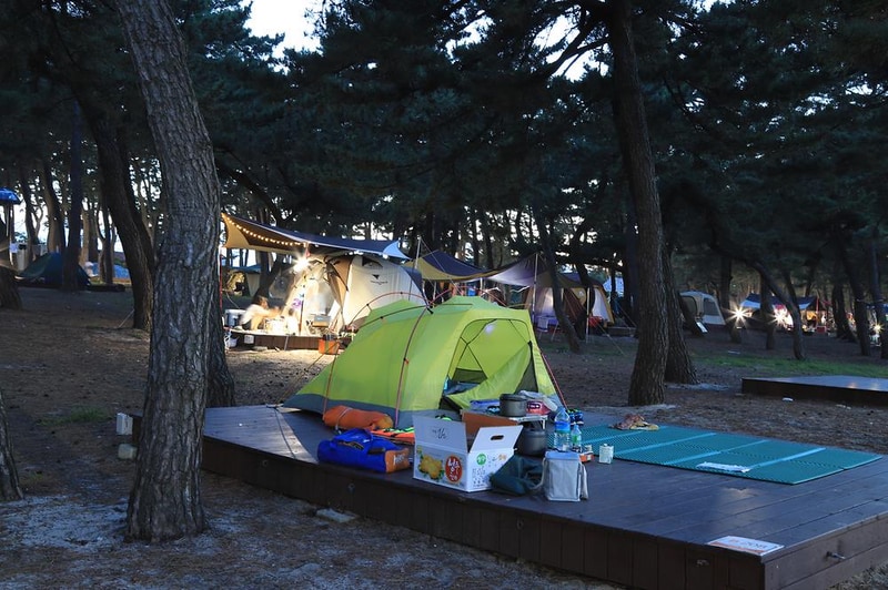 연곡해변 솔향기캠핑장 시설 사진 17