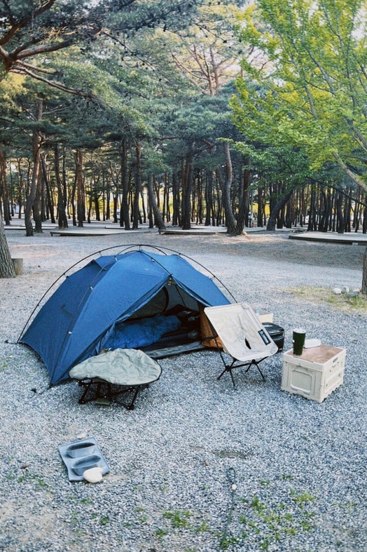 양양 캠프장에서 2박 3일 솔캠