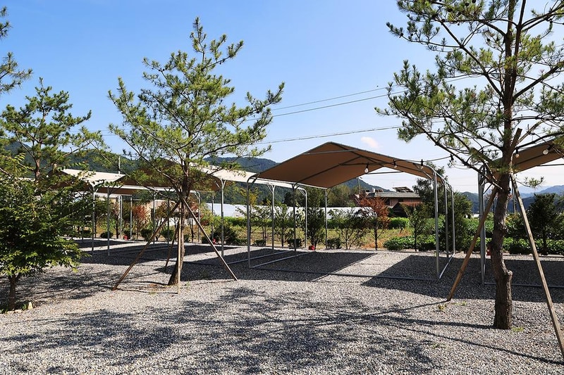 솔밭사이로 캠핑&펜션 시설 사진 5