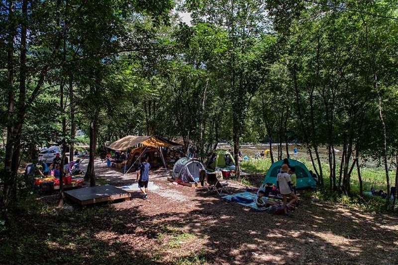 북극곰 야영장 대표 사진