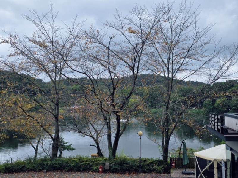 [진주 호수뷰 캠핑장] 청춘별곡 캠핑장 명당 사이트 추천 및...