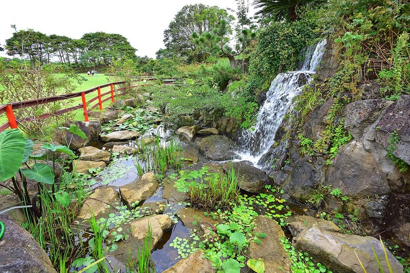 제주돌하르방 캠핑장 시설 사진 11