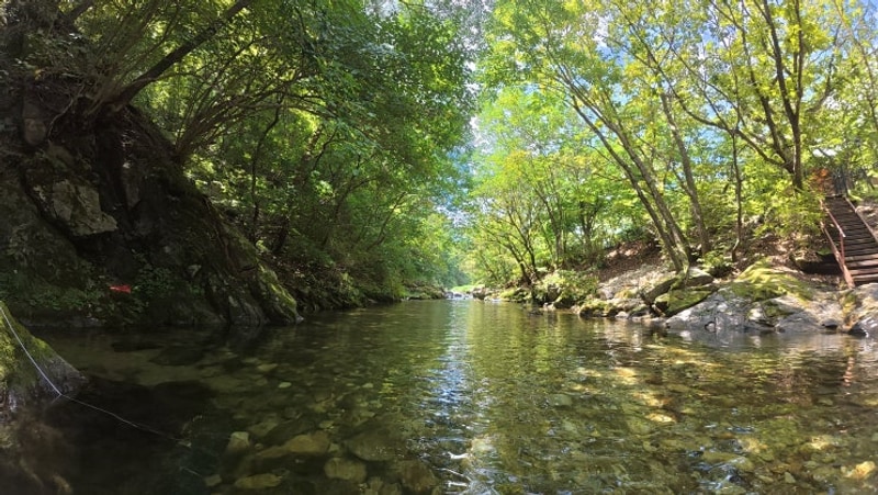 맑고 깊은 계곡, 실내외 온수수영장이 있는 원주두리캠핑장...