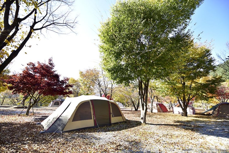 별빛오토캠핑장 시설 사진 12