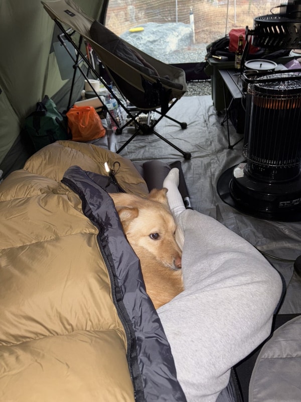 [오토캠핑] 마루와 함께한 2박 3일 행보칸 캠핑 (홍천태극캠핑장)